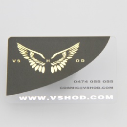 4 Color Printing Frosted Plastic Card